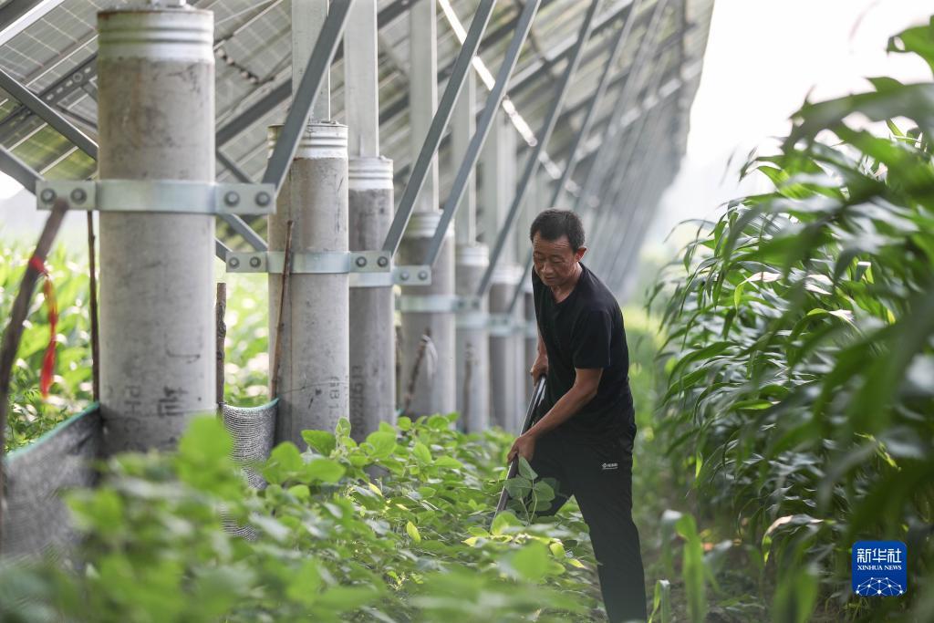 备用网址登录